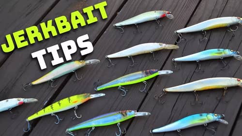 Bass Fishing Tips - Jerkbait (Everything You Need To Know)