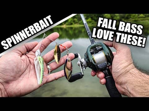 Don't Believe Their LIES! | Spinnerbaits STILL Catch Bass!