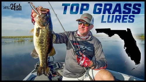 Top 5 Baits for Florida Bass Fishing | Tharp’s Simple Approach