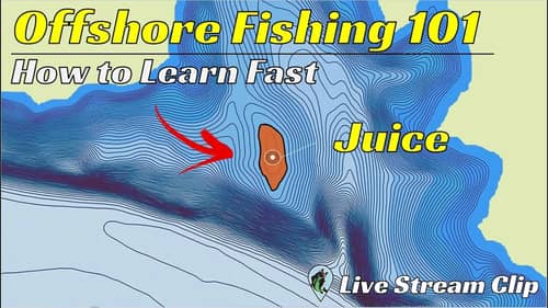 How to Learn About Offshore Bass Fishing Fast | FTM Livestream #89