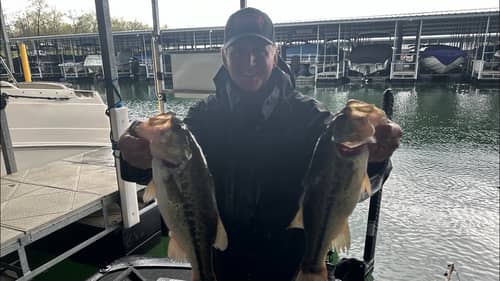 BFL/Table Rock…Competition Day Report