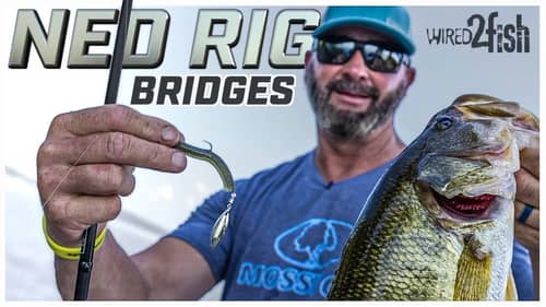 Ned Rig Bass on Bridges with Gerald Swindle