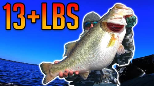 I CAUGHT the PB Bass of a LIFETIME!!!