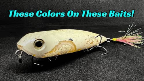 These Baits In These Colors Are Unstoppable In The Fall!