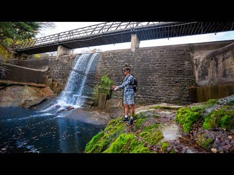 Fishing a Hidden Urban Oasis In The Outskirts Of Dallas (CASTING CONCRETE PT. 3)