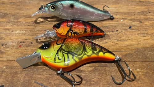 4 Must-Have Early Spring Crankbaits…