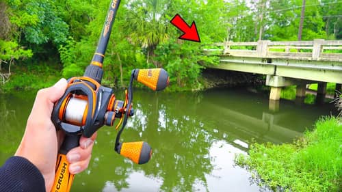 Searching for GIANT Bass in SMALL Canal (Bank Fishing)