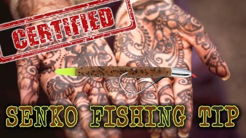 SUPER SECRET Senko Bass Fishing Tip