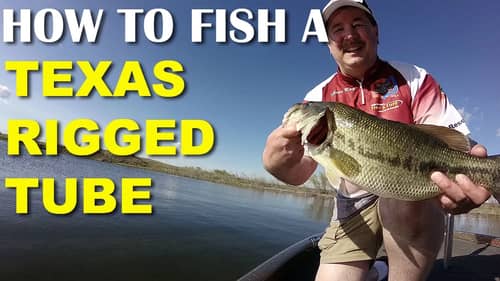 How To Fish Texas Rigged Tube Baits | Bass Fishing