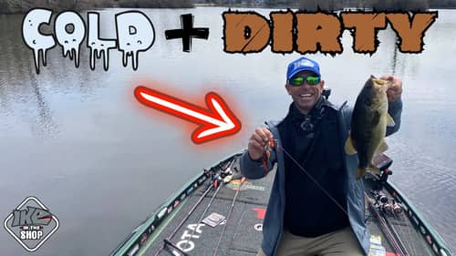 How To Catch Shallow Bass RIGHT NOW! Shad Spawn Fishing Tips