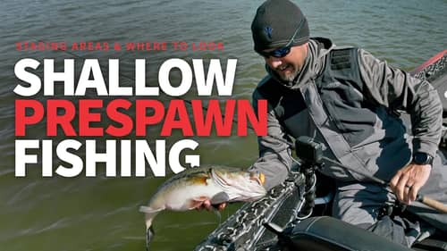 SHALLOW Pre-Spawn Bass Fishing (What to LOOK for!)