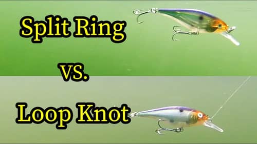 Should I use a split ring or loop knot?