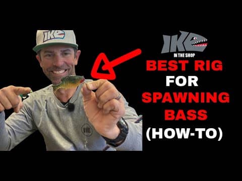 Best Rig for Spawning Bass (How-To)
