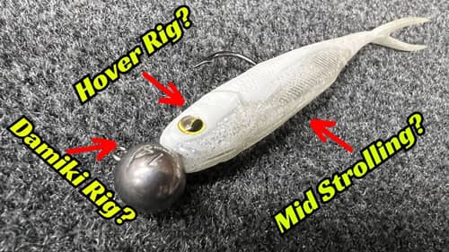These Damiki Rig Baits Are Dominating Everywhere! Can The Be Stopped?