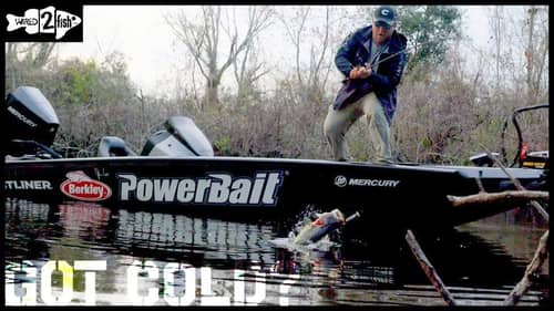 Throwing Topwater Baits for Cold Front Bass