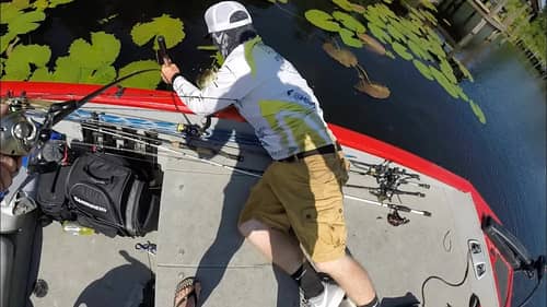 GIANT Bass STUCK in Pads!!