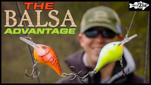 Why Balsa Crankbaits Excel for Cold Water Bass