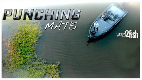 Top Tactics and Gear for Punching Mats for Bass