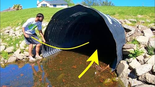The BEST KEPT URBAN FISHING SECRET THERE IS!! (CRAZY TACTIC)