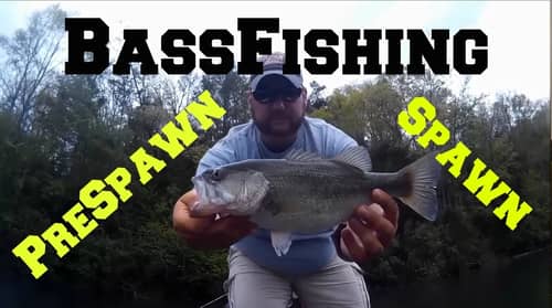 Bass Fishing the Prespawn and Spawn