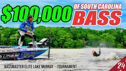$100,000 of South Carolina Bass on the Line! - 2024 Bassmaster Elite Lake Murray (Day 1&2)-UFB S4E24