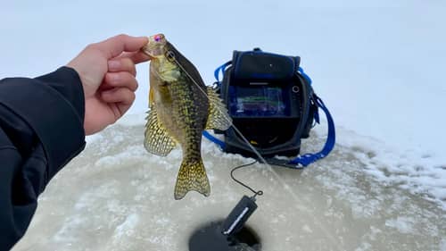 FIRST ICE Crappie in Ontario!