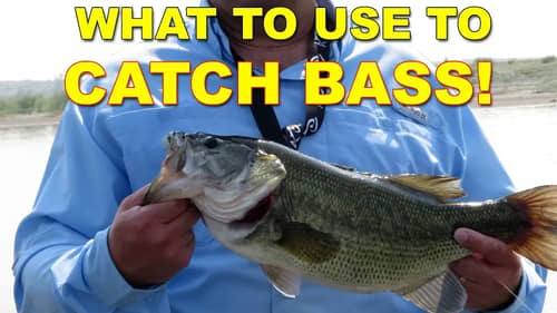 What To Use To Catch Bass | How To | Bass Fishing