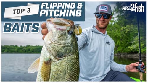 Hunter Shryock's Top 3 Flipping and Pitching Baits