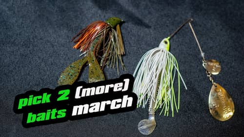 Pick 2 (More) Baits | March