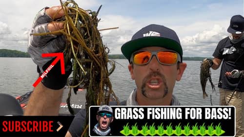 Grass Fishing For Bass!