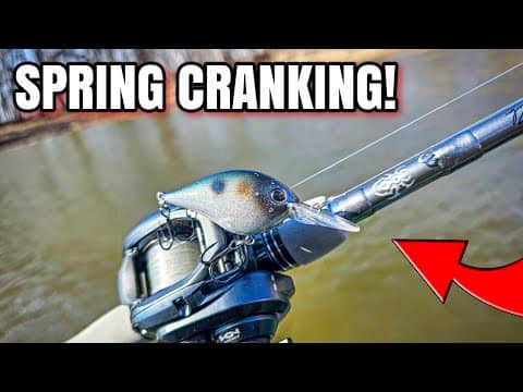 This Overlooked Crankbait CATCHES Bass!