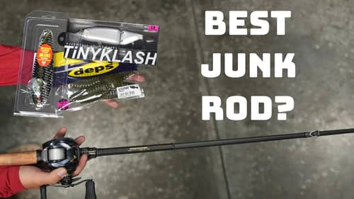 Looking For A Versatile Rod To Throw Almost Everything On? Check This One Out!
