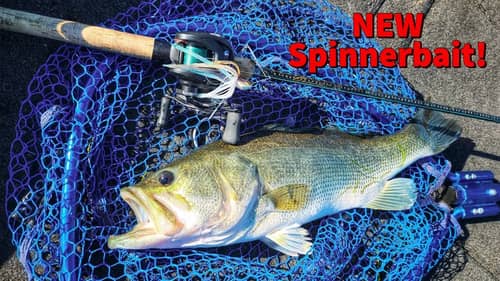 Spinnerbait vs Vibrating Jig Bass Fishing Southern California