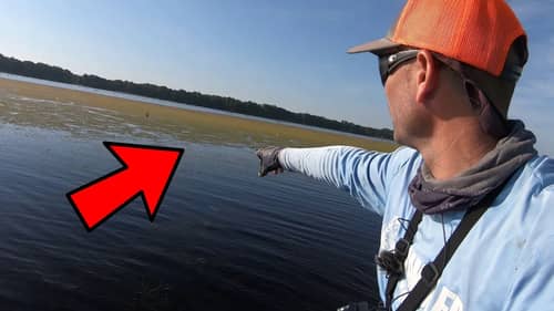 FLIPPING Mats and Punching for BASS in FLORIDA EXPLAINED