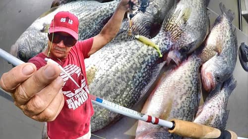 Catch 10X MORE Crappie With Jigs!