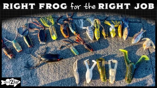 FROG FISHING ROUND-UP | Answering Questions & Running Through So Many Frogs