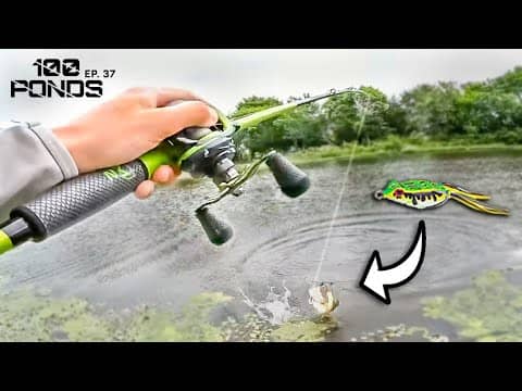 Hooking A Topwater GIANT On My FIRST CAST (100 Ponds Ep. 37)