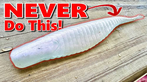 You'll Never Fish a Fluke The Same Way Again!