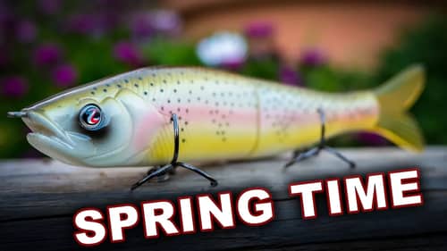 The 4 Best Baits For Finding Bass In Spring