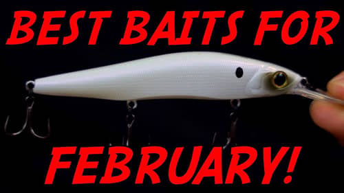 3 MUST HAVE Baits for February Bass Fishing!