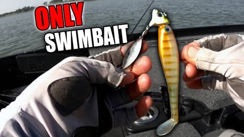 How To Color/Rig A Bluegill Imitation Swimbait For Shallow Summer