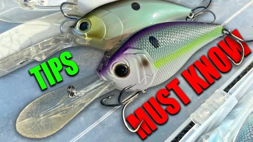 What I WISH I would've KNOWN about Summer CRANKBAIT Fishing