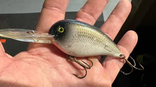 After 30 Years…I’m Giving Up The Loudmouth Crankbait Secret…