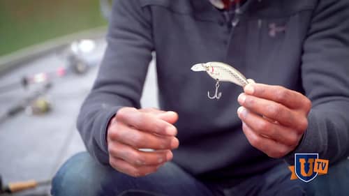 SECRET Largemouth BASS Crankbait Fishing Lure Tips