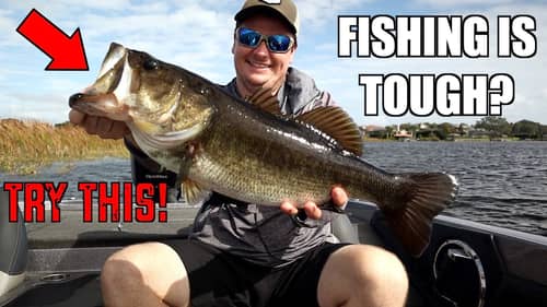 Fall Florida Bass Fishing is TOUGH! Try This! - Quest for a New PB Ep. 2