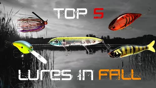 Top 5 Fall Baits to Catch Bigger Bass
