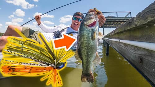 Bass Fishing with Finesse Jigs (Summer Dock Fishing Tips)