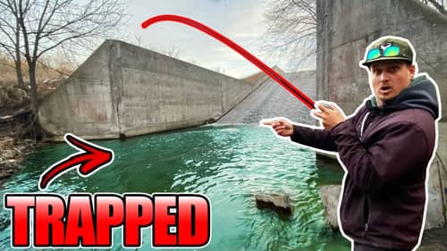 The Giant MYSTERY Spillway Fish are FINALLY REVEALED!! [Not What I Wanted...]