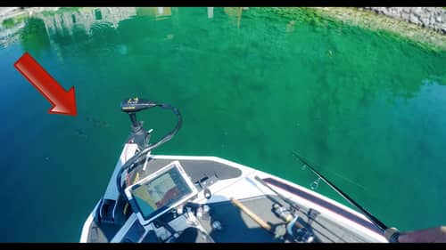 How To Catch Bass In Crystal Clear Water