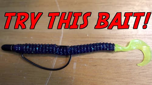 This Bait Catches Fish When NOTHING Else Will!